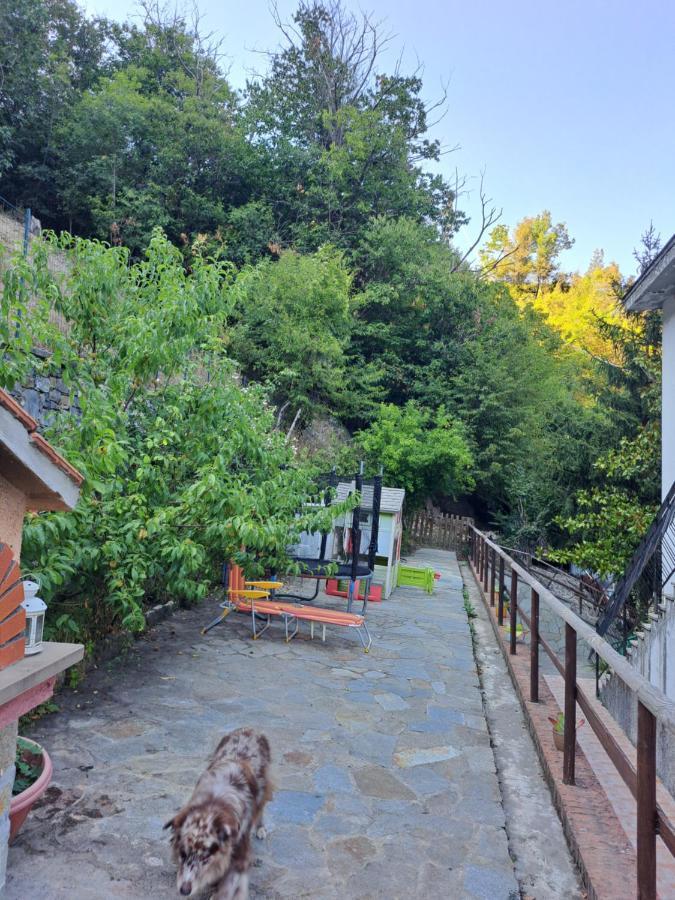The Giaggiolo'S House Apartment Serra Rocco Exterior foto